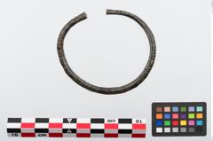 Foto von Bronzeperlarmreif (NHMW-PRAE-024276)